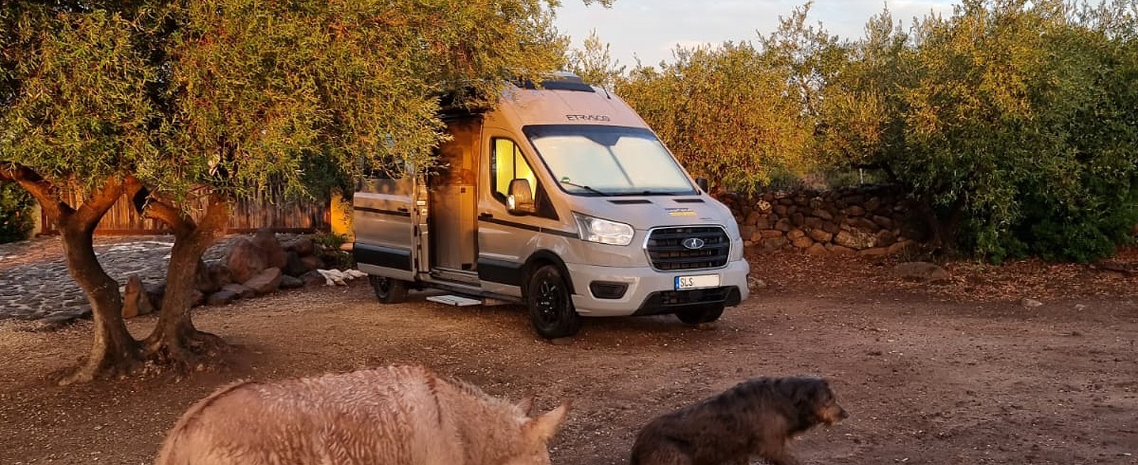 Deine erste Adresse für Wohnmobil Vermietung im Saarland
